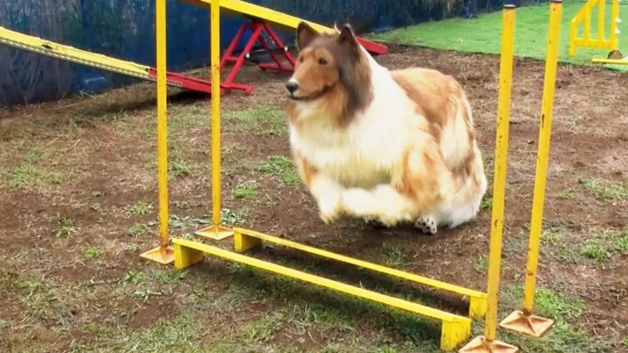 પ્રતીકાત્મક તસવીર 